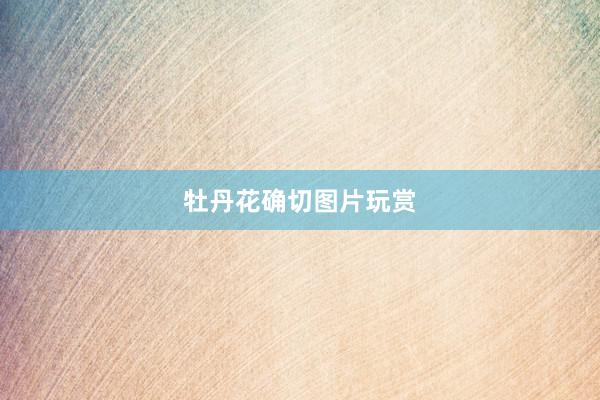 牡丹花确切图片玩赏