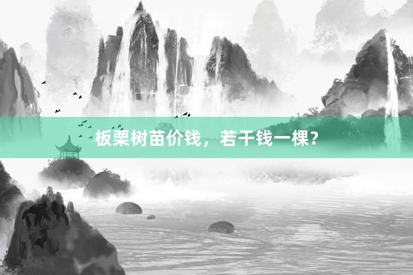 板栗树苗价钱，若干钱一棵？