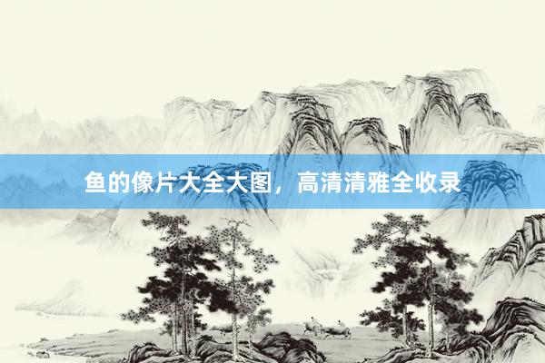 鱼的像片大全大图，高清清雅全收录