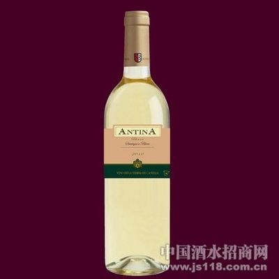 安蒂娜干白 山东环日进出口贸易的卓越之选与中国酒水招商新机遇